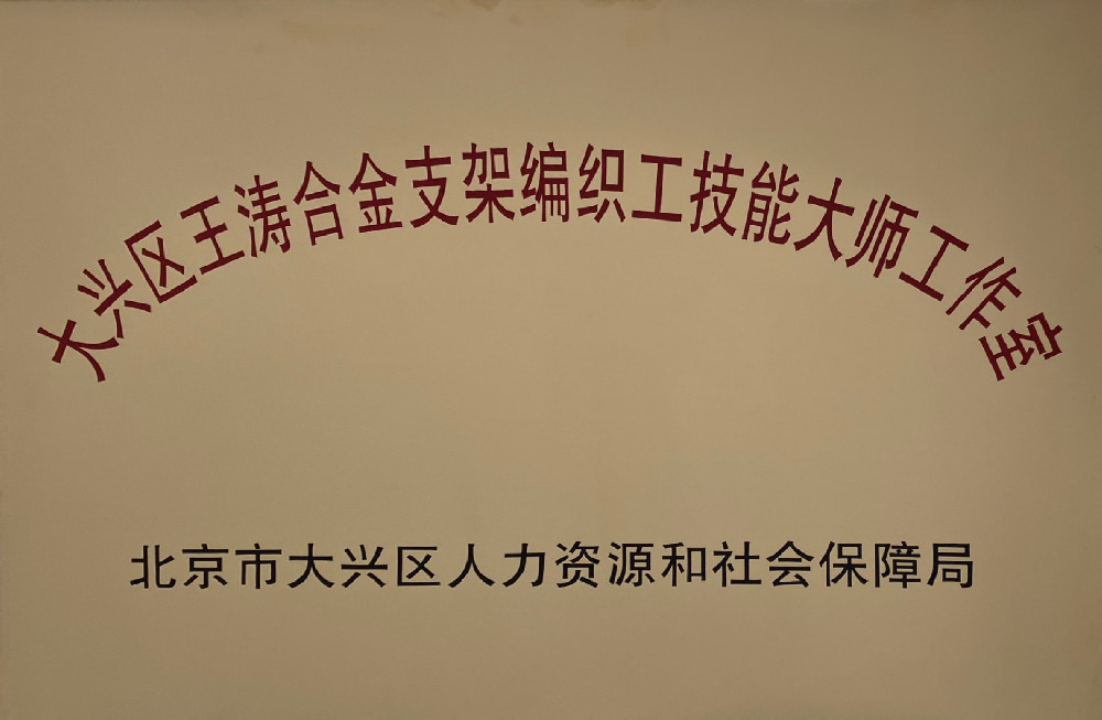 技能大师工作室